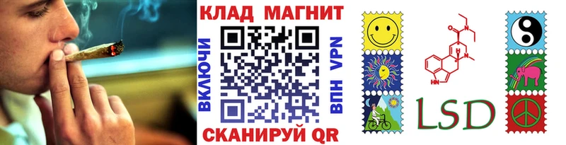 Наркошоп Снежногорск Канабис  Мефедрон  ГАШ 