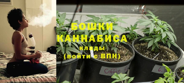 гидра Аркадак