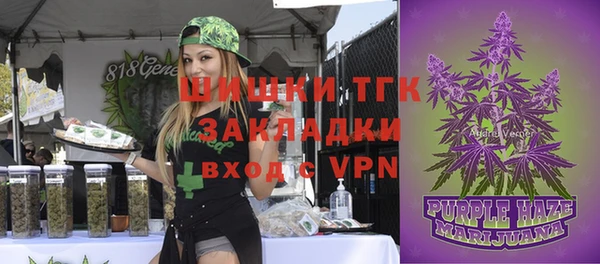 гидра Аркадак
