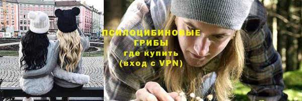 дживик Арсеньев