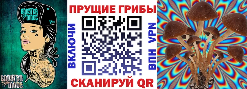 Псилоцибиновые грибы MAGIC MUSHROOMS  цены   Снежногорск 